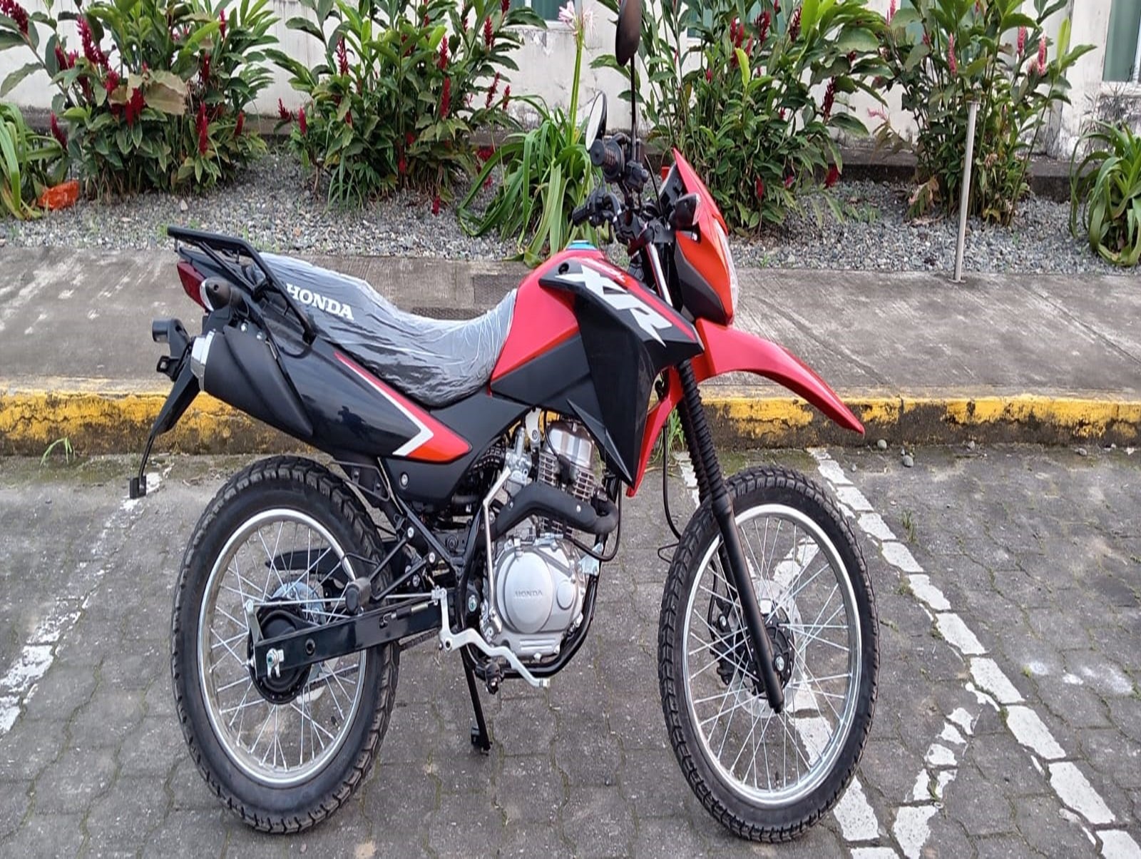 imagen de whatsapp 2025 12 12 a las 07.42.54 5046014d